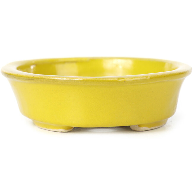 Maceta de bonsái amarilla ovalada de Seto - 110 x 90 x 30 mm