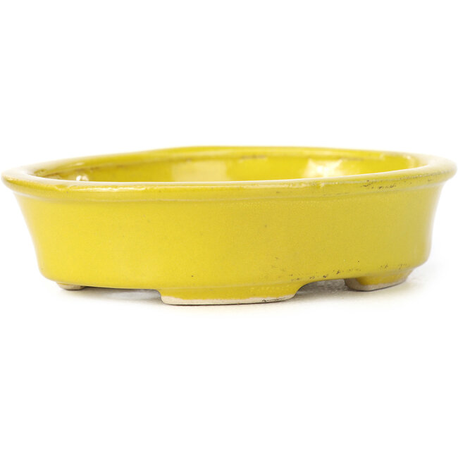 Pot à bonsaï ovale jaune par Seto - 110 x 90 x 30 mm