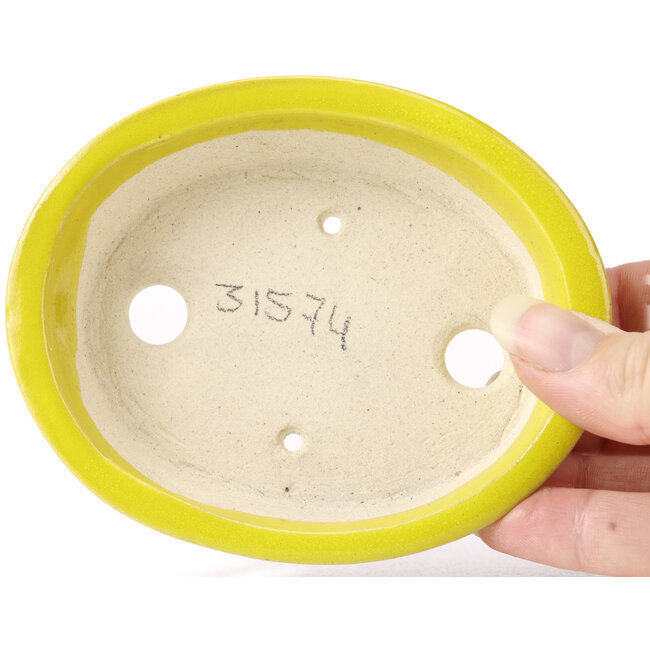 Pot à bonsaï ovale jaune par Seto - 110 x 90 x 30 mm