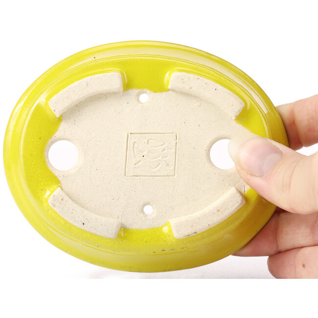 Maceta de bonsái amarilla ovalada de Seto - 110 x 90 x 30 mm