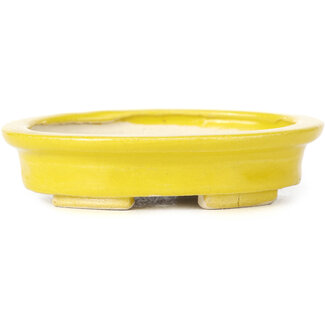 Seto 105 mm oval yellow bonsai pot by Seto, Japan