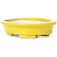 Pot à bonsaï ovale jaune par Seto - 105 x 90 x 25 mm