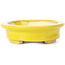 Pot à bonsaï ovale jaune par Seto - 105 x 90 x 25 mm