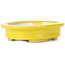 Pot à bonsaï ovale jaune par Seto - 105 x 90 x 25 mm