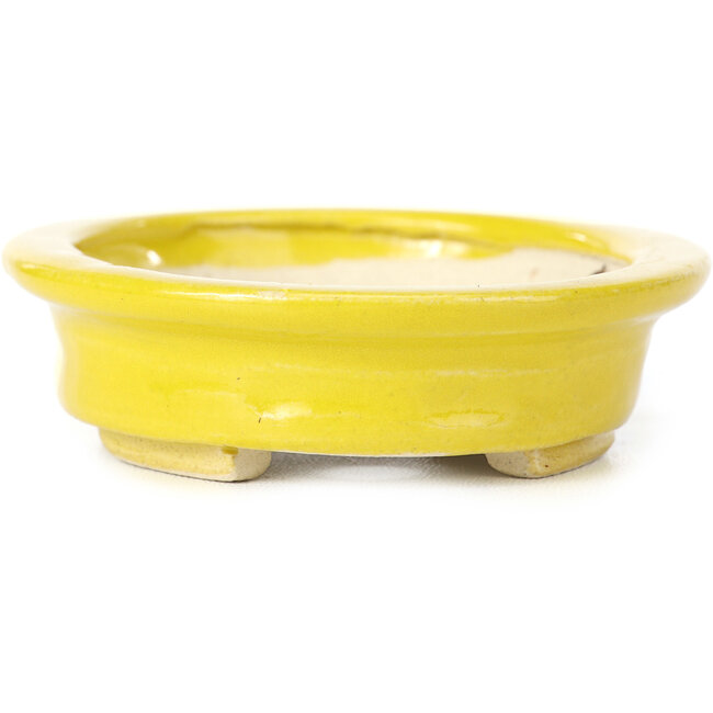 Maceta de bonsái amarilla ovalada de Seto - 105 x 90 x 25 mm