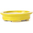 Pot à bonsaï ovale jaune par Seto - 105 x 90 x 25 mm