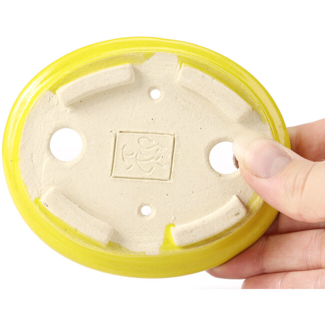 Oval yellow bonsai pot by Seto - 105 x 90 x 25 mm