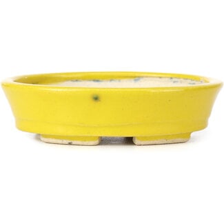 Seto 105 mm oval yellow bonsai pot by Seto, Japan