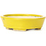 Pot à bonsaï ovale jaune par Seto - 105 x 90 x 30 mm