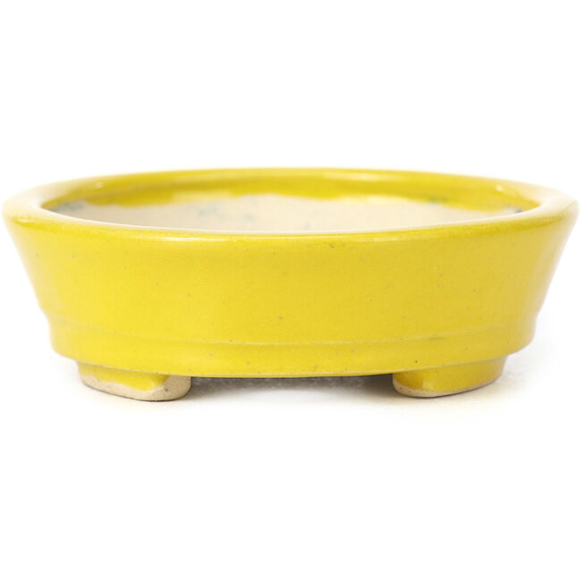 Pot à bonsaï ovale jaune par Seto - 105 x 90 x 30 mm