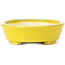 Pot à bonsaï ovale jaune par Seto - 105 x 90 x 30 mm