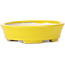 Pot à bonsaï ovale jaune par Seto - 105 x 90 x 30 mm