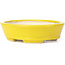 Pot à bonsaï ovale jaune par Seto - 105 x 90 x 30 mm