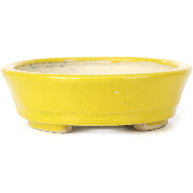 Maceta de bonsái amarilla ovalada de Seto - 105 x 90 x 30 mm