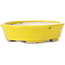 Pot à bonsaï ovale jaune par Seto - 105 x 90 x 30 mm