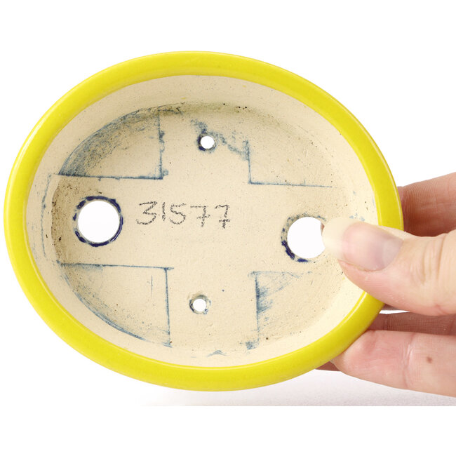 Pot à bonsaï ovale jaune par Seto - 105 x 90 x 30 mm