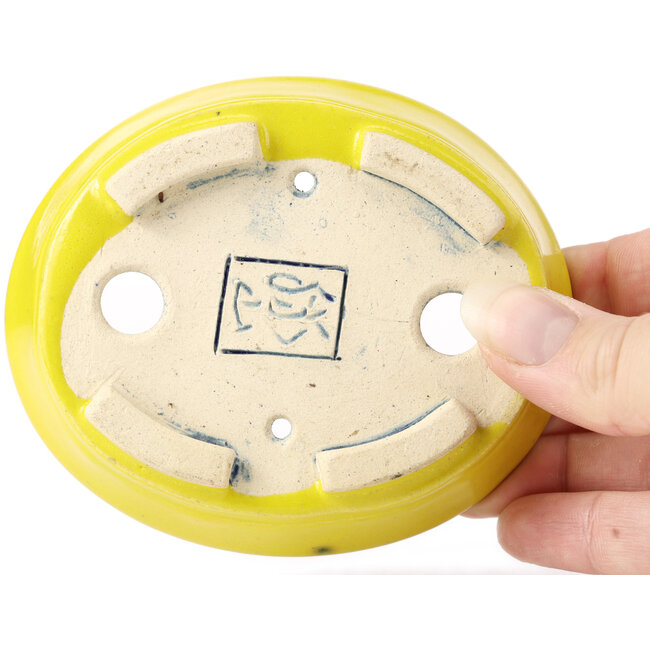 Maceta de bonsái amarilla ovalada de Seto - 105 x 90 x 30 mm