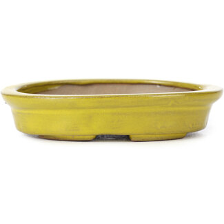 Seto 105 mm oval yellow bonsai pot by Seto, Japan