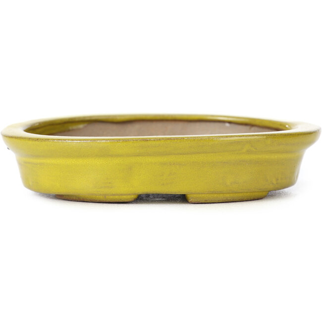 Oval yellow bonsai pot by Seto - 105 x 85 x 25 mm