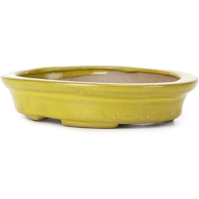 Vaso bonsai giallo ovale di Seto - 105 x 85 x 25 mm