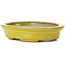 Pot à bonsaï ovale jaune par Seto - 105 x 85 x 25 mm