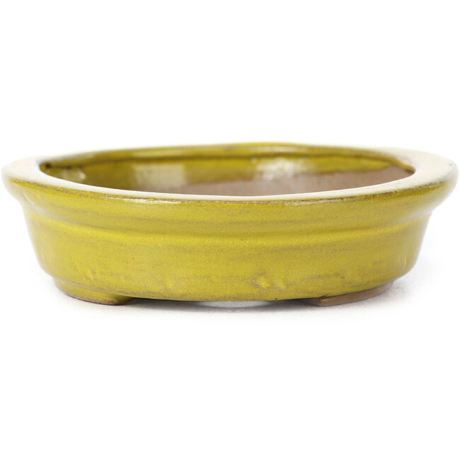Ovale gele bonsaipot van Seto - 105 x 85 x 25 mm