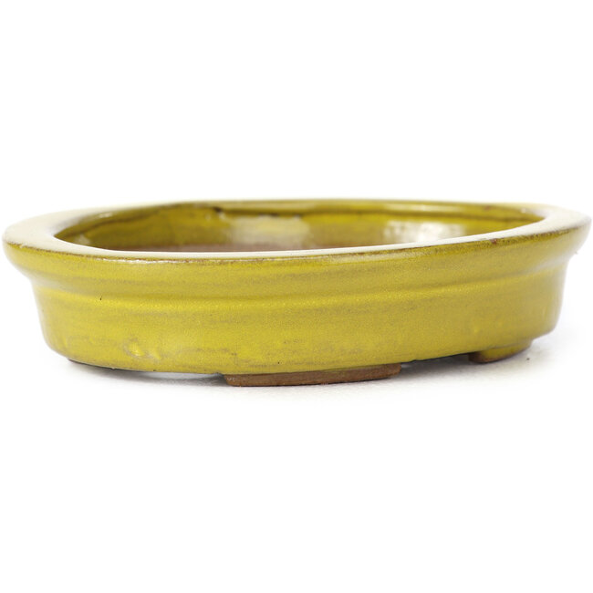 Oval yellow bonsai pot by Seto - 105 x 85 x 25 mm
