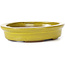 Oval yellow bonsai pot by Seto - 105 x 85 x 25 mm