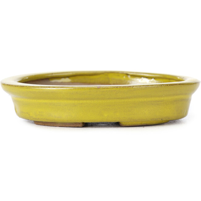 Pot à bonsaï ovale jaune par Seto - 105 x 85 x 25 mm