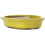 Oval yellow bonsai pot by Seto - 105 x 85 x 25 mm