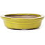 Oval yellow bonsai pot by Seto - 105 x 85 x 25 mm