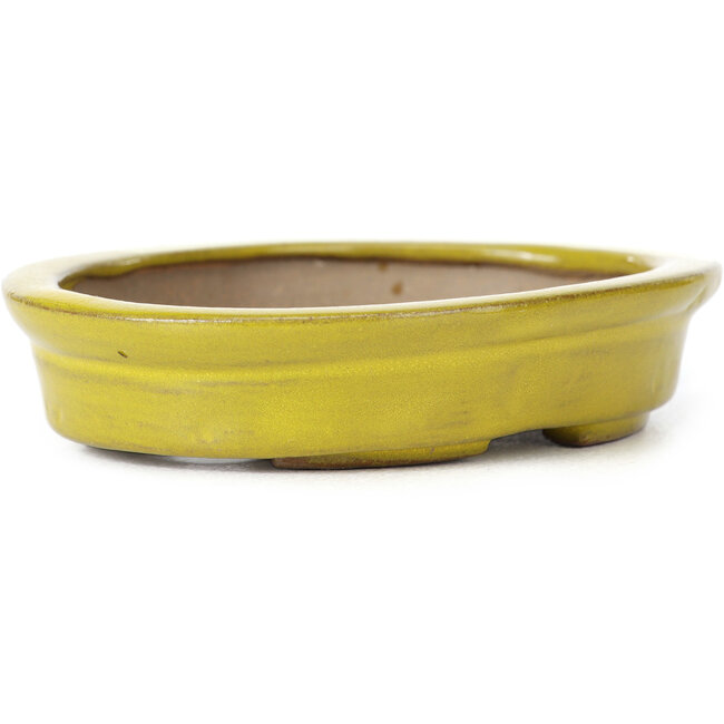 Vaso bonsai giallo ovale di Seto - 105 x 85 x 25 mm