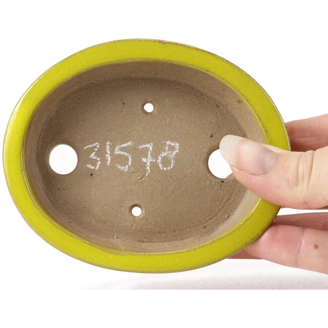 Ovale gelbe Bonsaischale von Seto - 105 x 85 x 25 mm