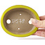 Pot à bonsaï ovale jaune par Seto - 105 x 85 x 25 mm