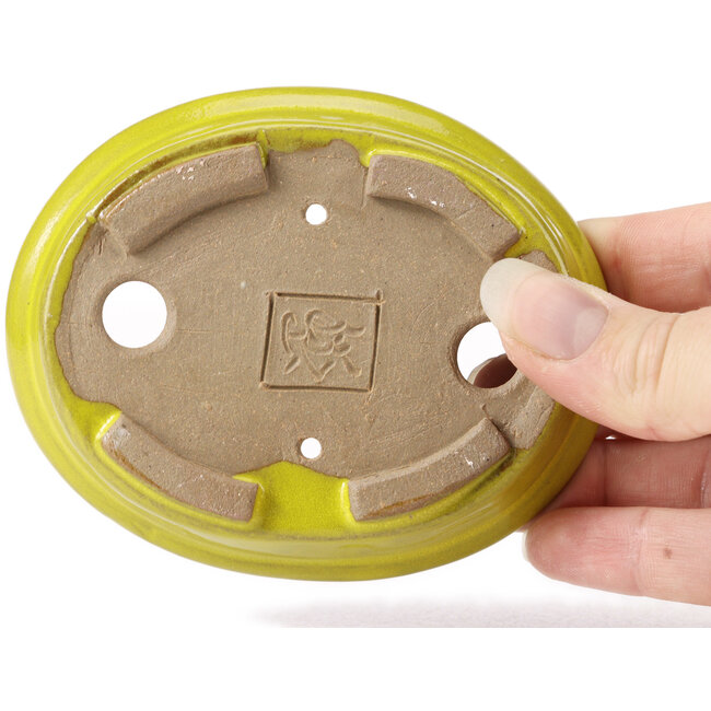 Pot à bonsaï ovale jaune par Seto - 105 x 85 x 25 mm