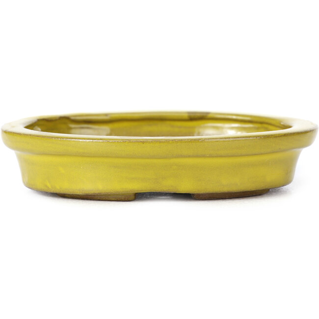 Vaso bonsai giallo ovale di Seto - 105 x 90 x 25 mm