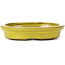 Oval yellow bonsai pot by Seto - 105 x 90 x 25 mm