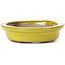 Oval yellow bonsai pot by Seto - 105 x 90 x 25 mm