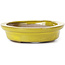 Pot à bonsaï ovale jaune par Seto - 105 x 90 x 25 mm