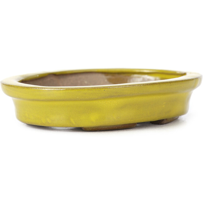 Ovale gelbe Bonsaischale von Seto - 105 x 90 x 25 mm