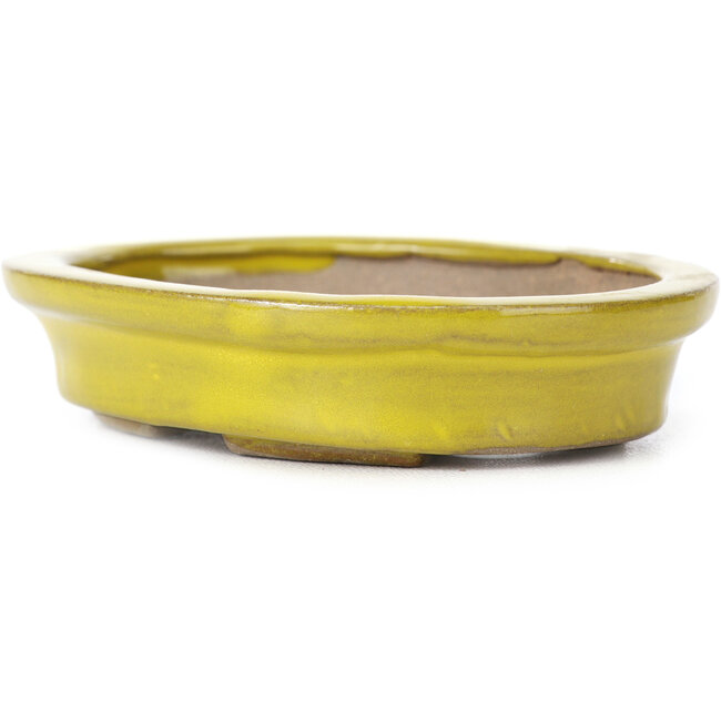 Maceta de bonsái amarilla ovalada de Seto - 105 x 90 x 25 mm