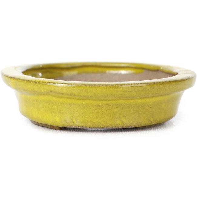 Vaso bonsai giallo ovale di Seto - 105 x 90 x 25 mm