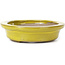 Oval yellow bonsai pot by Seto - 105 x 90 x 25 mm