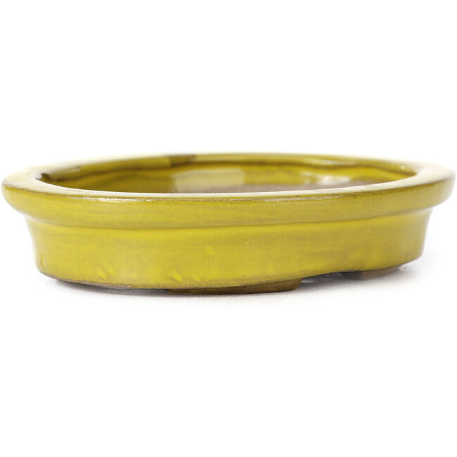 Oval yellow bonsai pot by Seto - 105 x 90 x 25 mm