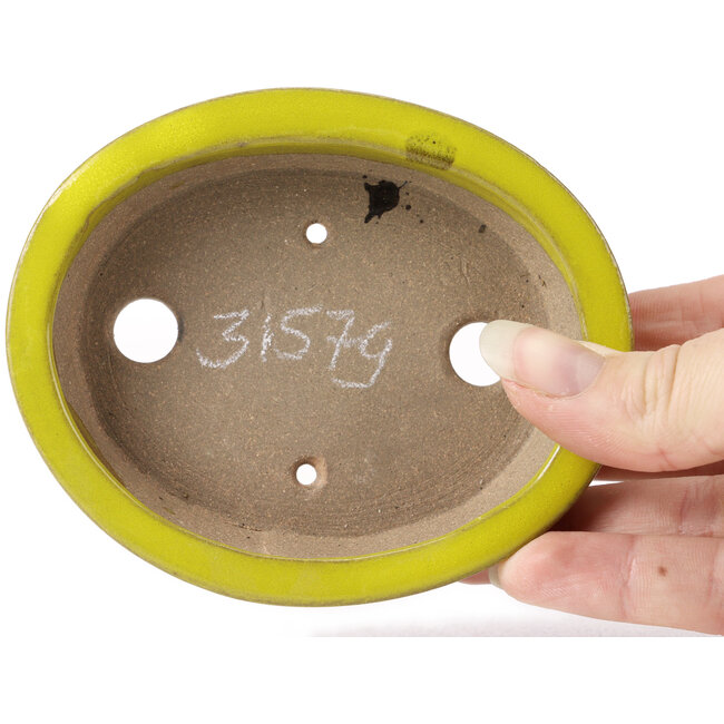 Maceta de bonsái amarilla ovalada de Seto - 105 x 90 x 25 mm