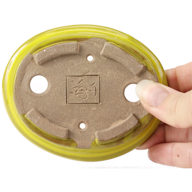 Vaso bonsai giallo ovale di Seto - 105 x 90 x 25 mm