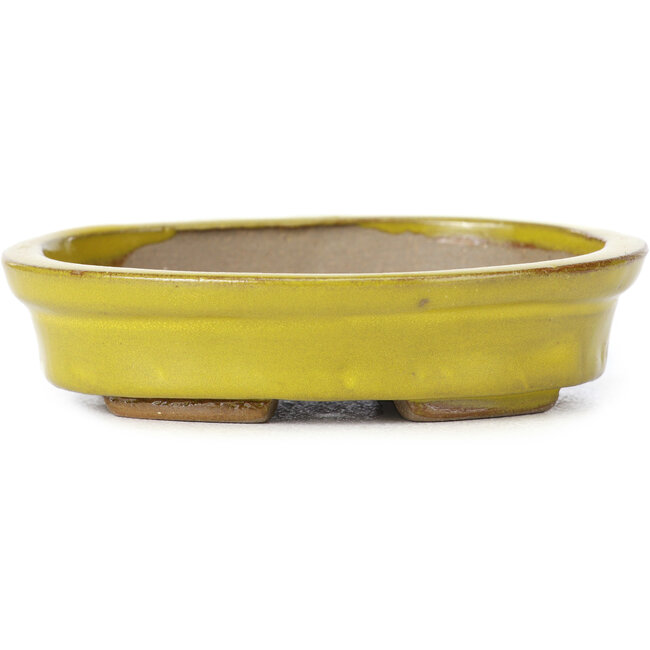 Vaso bonsai giallo ovale di Seto - 105 x 85 x 25 mm