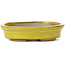 Oval yellow bonsai pot by Seto - 105 x 85 x 25 mm