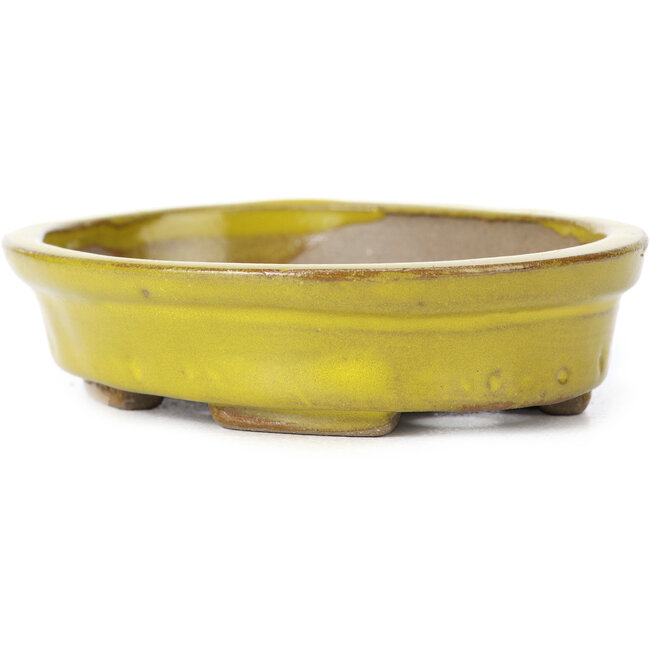Ovale gele bonsaipot van Seto - 105 x 85 x 25 mm
