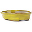 Oval yellow bonsai pot by Seto - 105 x 85 x 25 mm